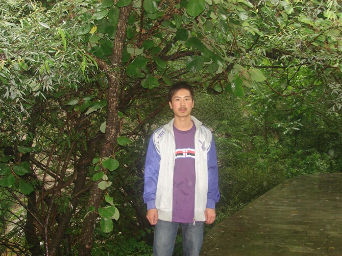 点击将在新窗口查看全图